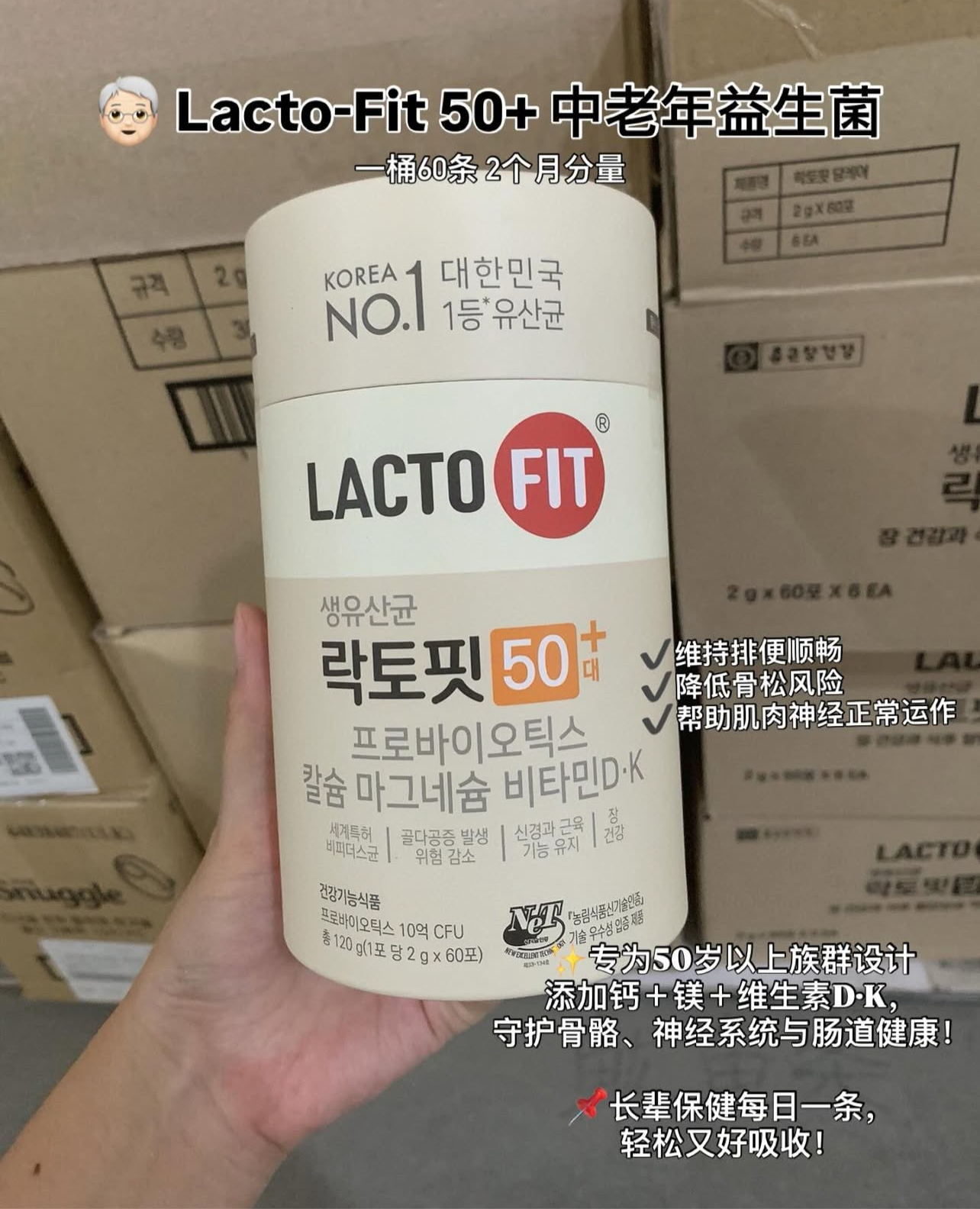 Lacto Fit 益生菌 Probiotic