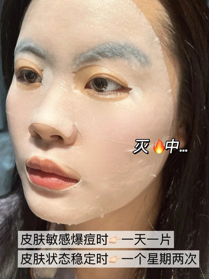 理肤泉B5面膜PRO版 /10片